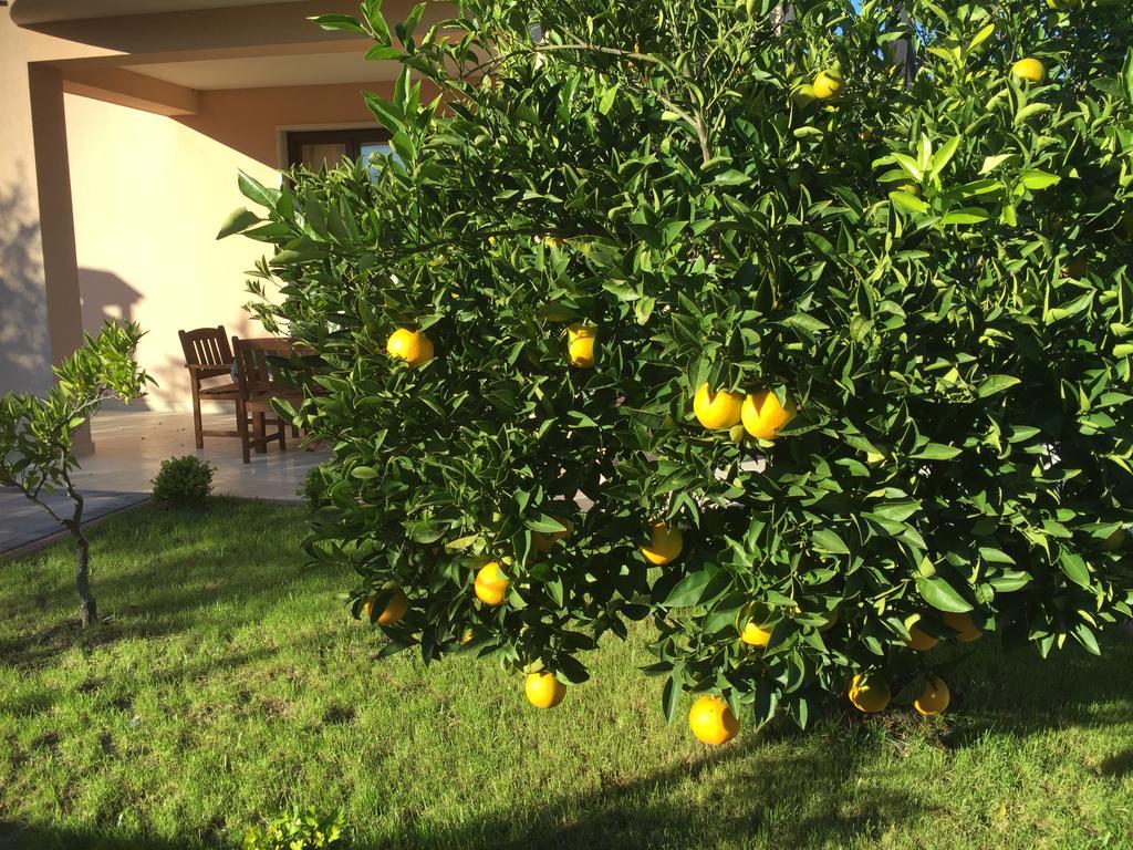 רוביני Apartment Villa Baric 4412 מראה חיצוני תמונה