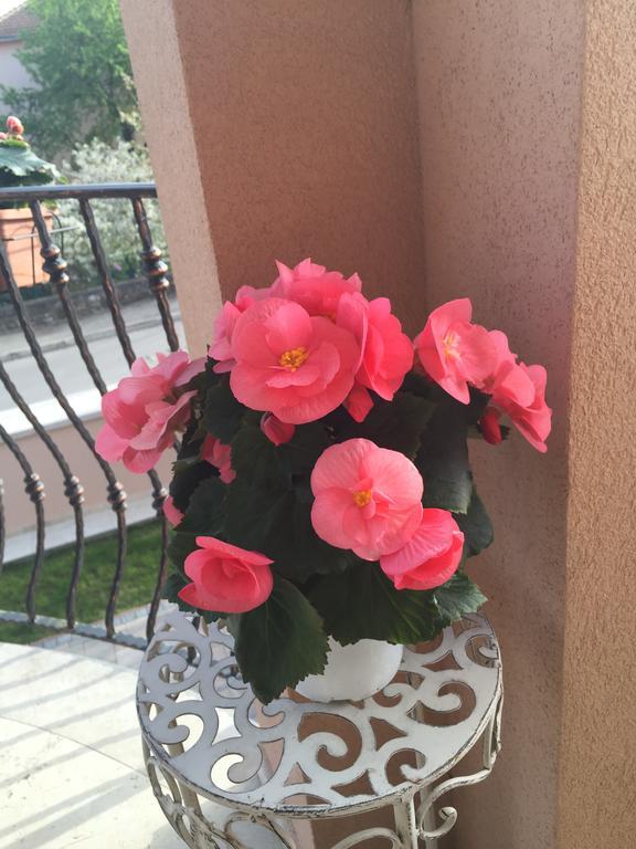 רוביני Apartment Villa Baric 4412 מראה חיצוני תמונה